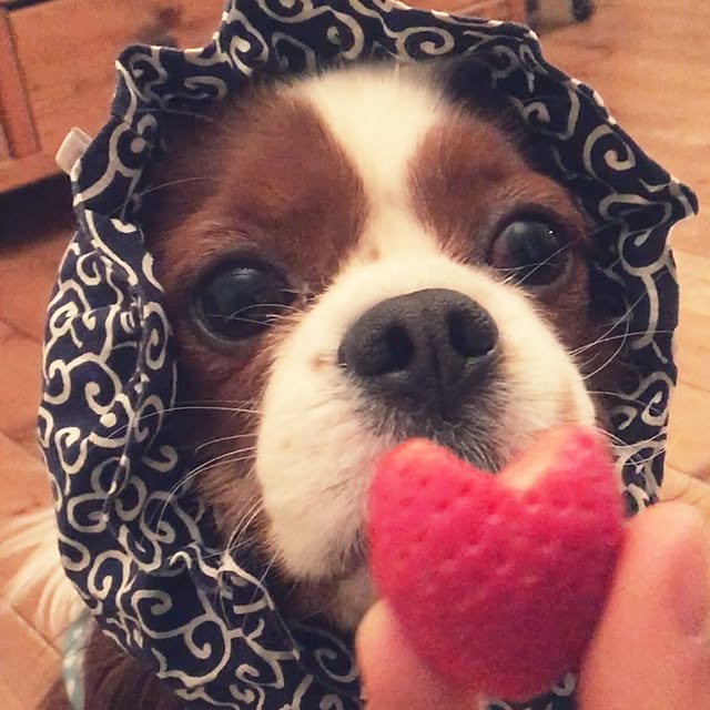 miyaさんの実例写真