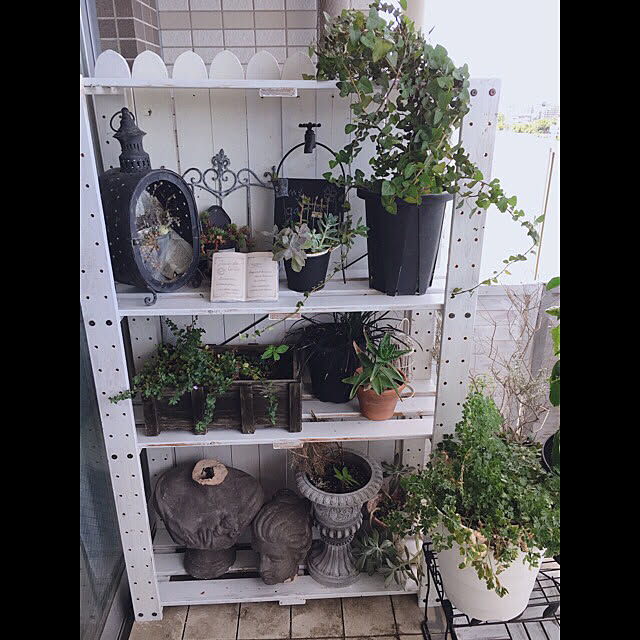 Rinrinfrenchさんの実例写真