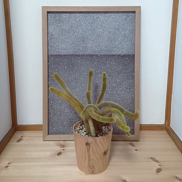 coさんの実例写真