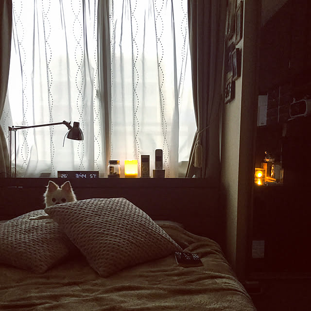 chapiさんの実例写真