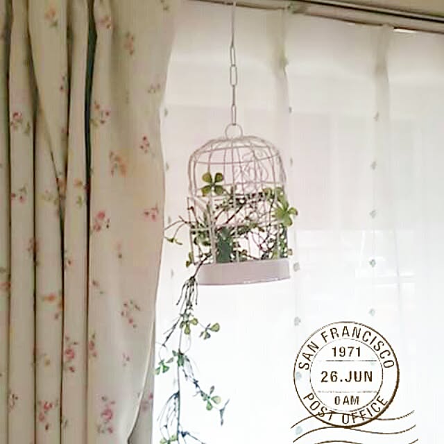 springさんの実例写真