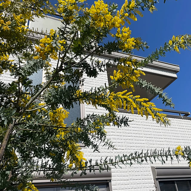 kuikoさんの実例写真