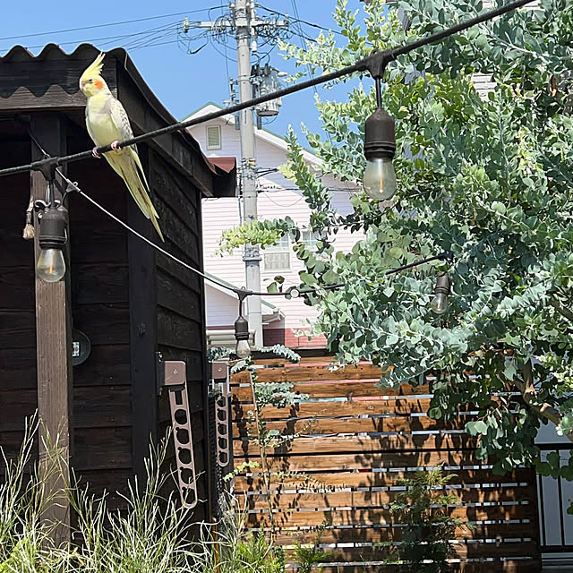 kinari.akariさんの部屋