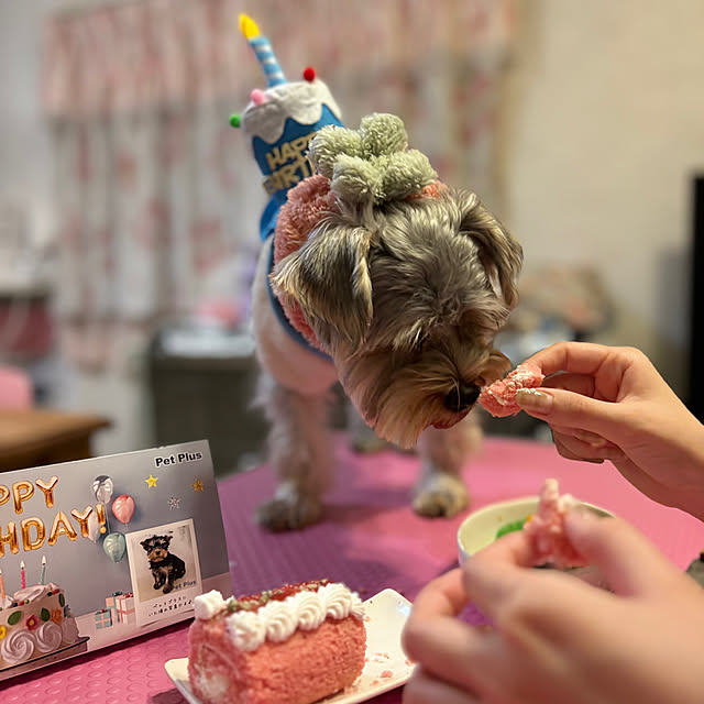 msさんの部屋