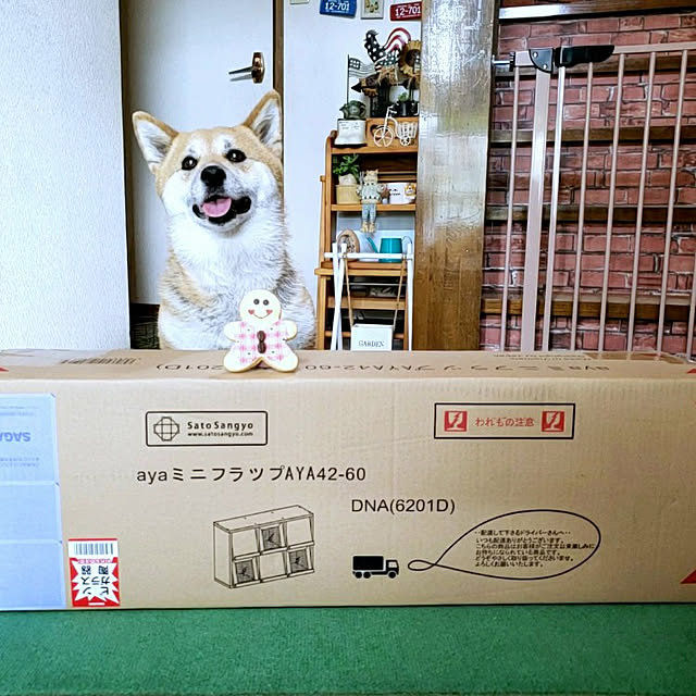 nanaさんの実例写真