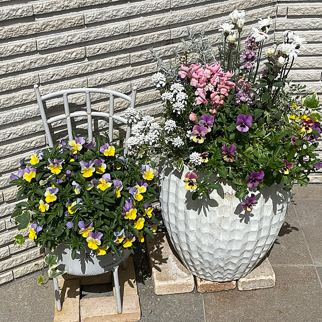 maimai0110さんの実例写真
