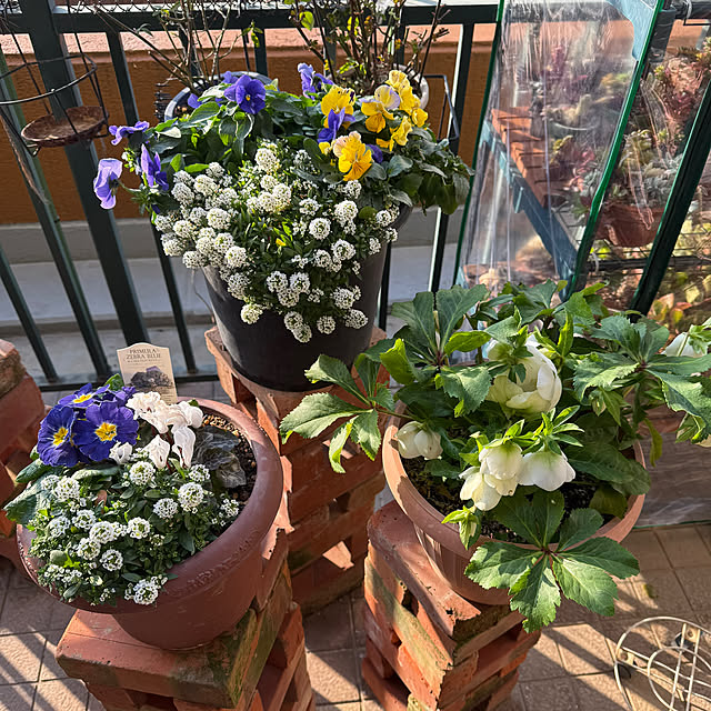 Aqettyさんの部屋