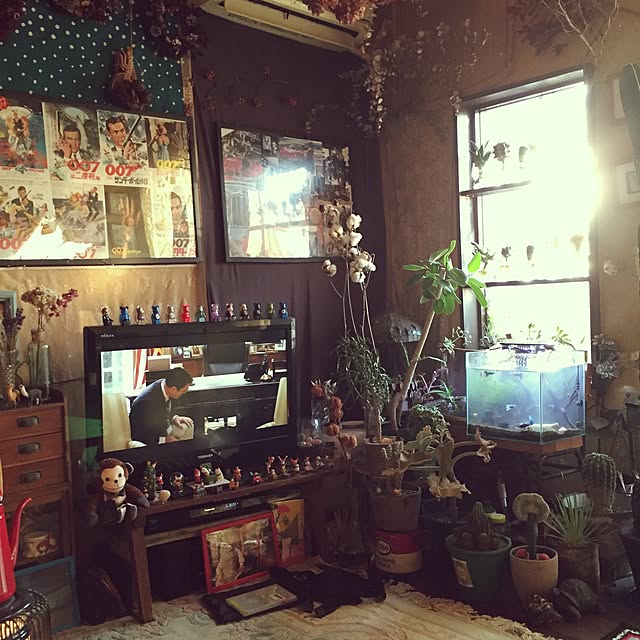 Masahideさんの実例写真
