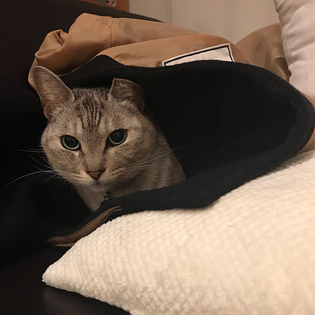maroさんの実例写真