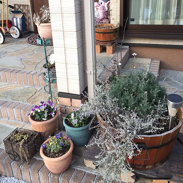 chibitaさんの実例写真