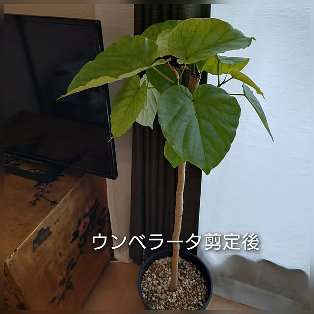 moruさんの部屋