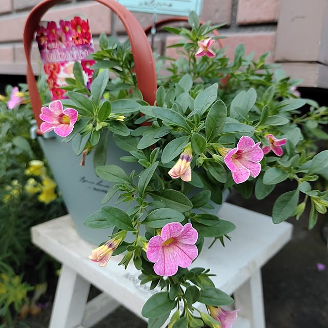 kiraさんの部屋