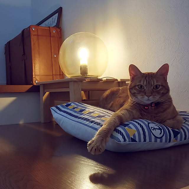 実例写真