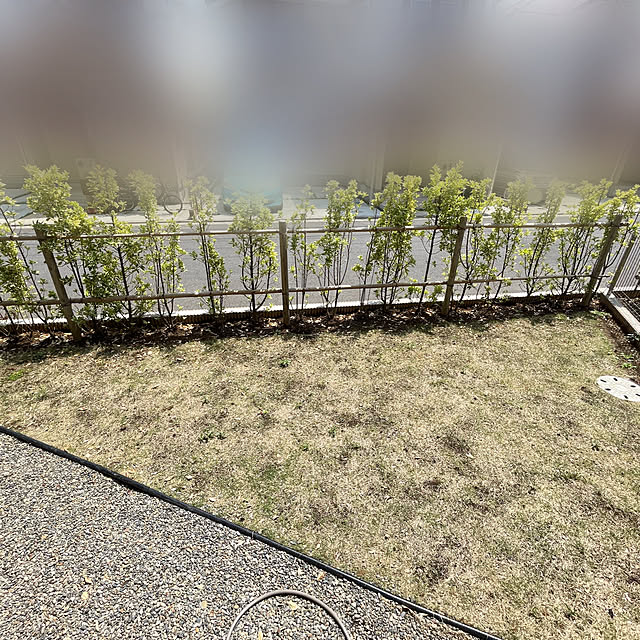 chico___さんの実例写真