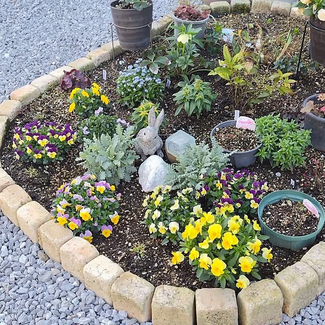 mutsuさんの部屋