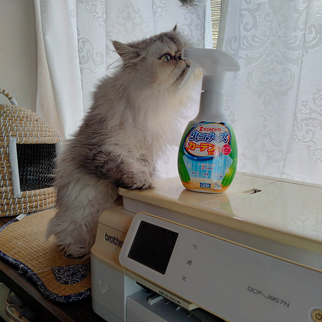 makaronさんの実例写真
