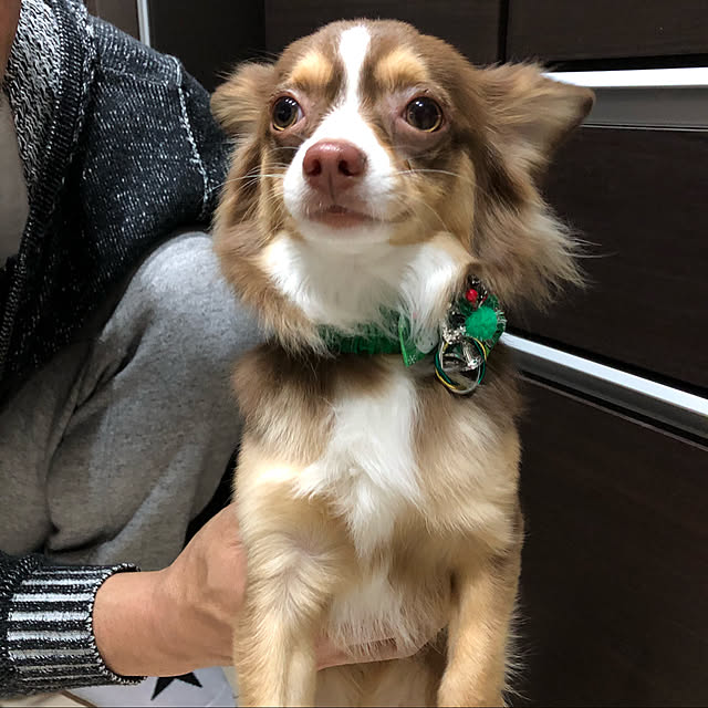 chocoさんの実例写真