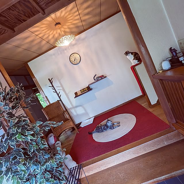 uchizukonyanさんの実例写真