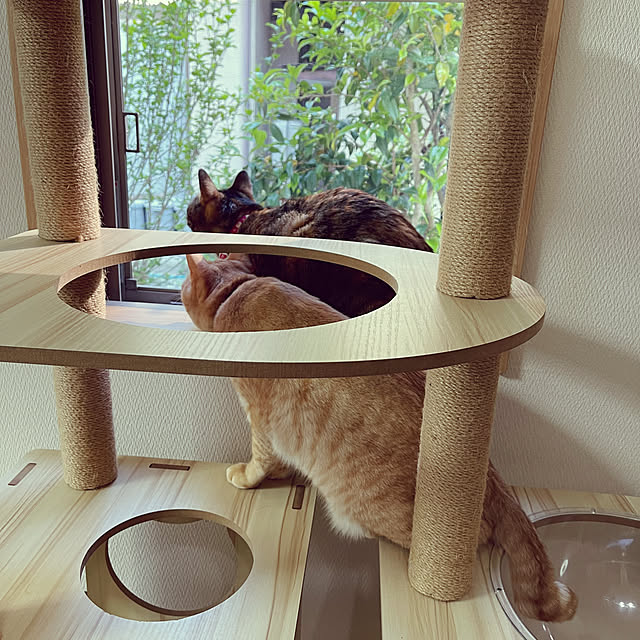 chiiさんの部屋