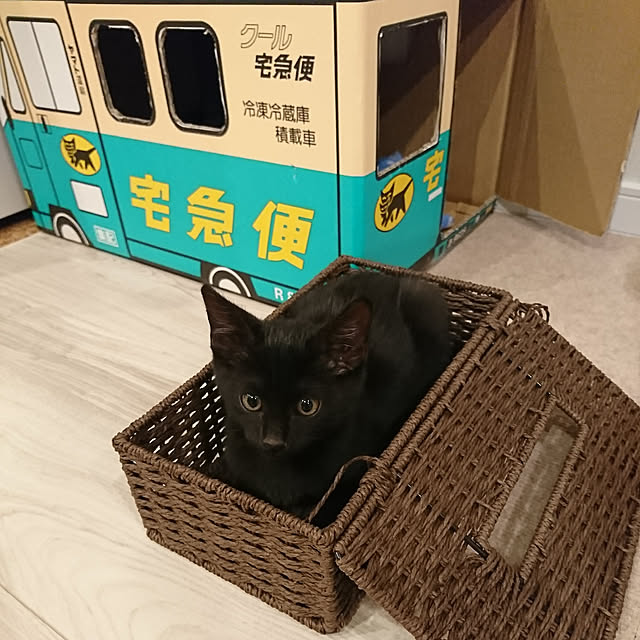 Naokiさんの実例写真