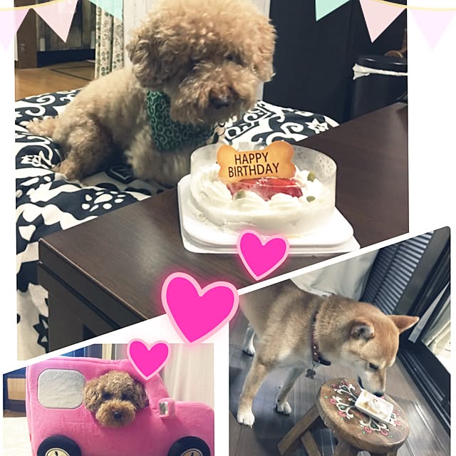 ronmaruさんの実例写真