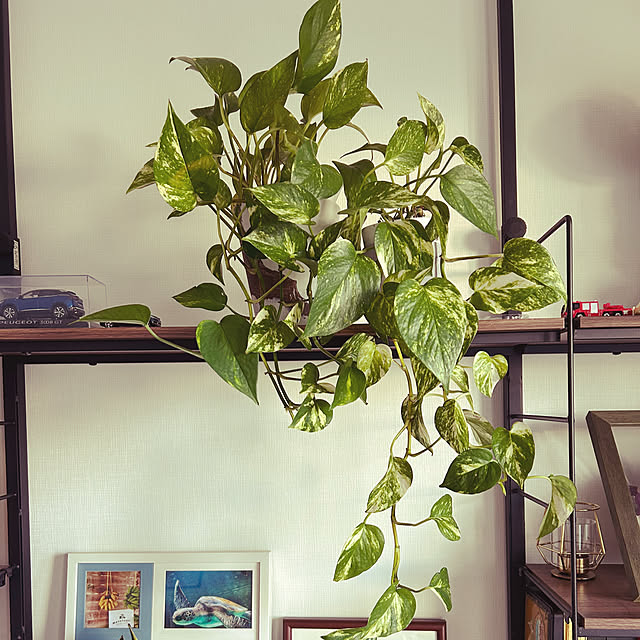 kananaさんの実例写真