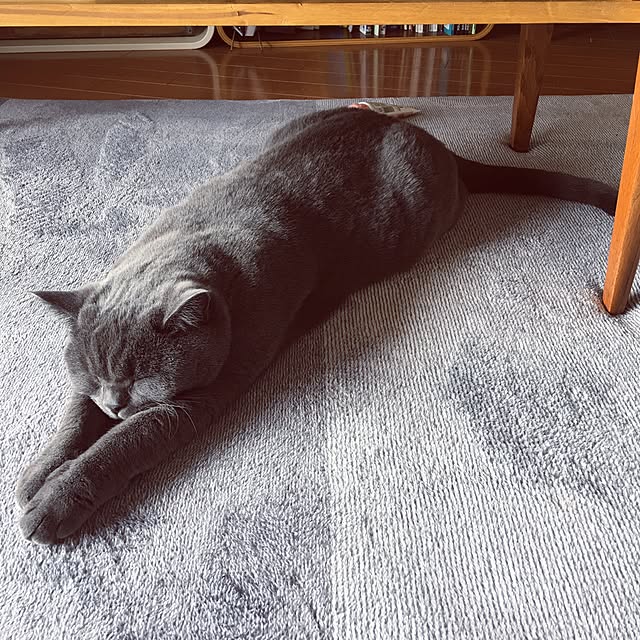 Shojiさんの実例写真