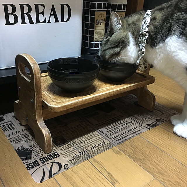 Rumiさんの実例写真