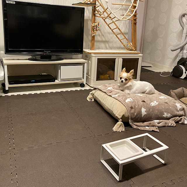 toratanさんの実例写真