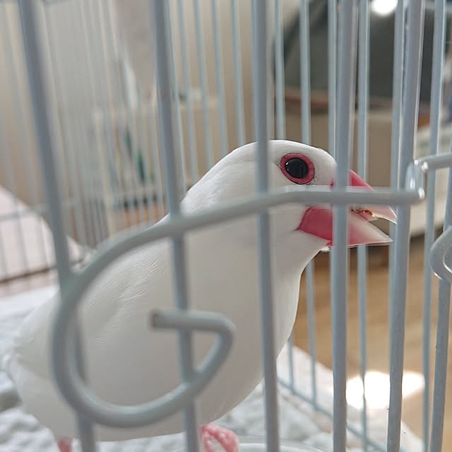 otokiさんの部屋