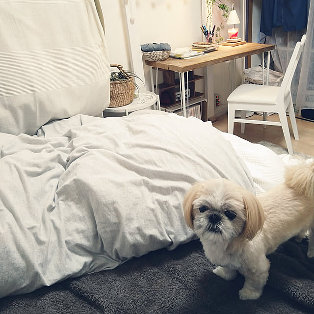 yukagomaさんの実例写真