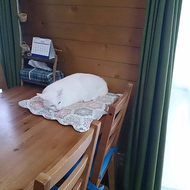 amifuuさんの実例写真