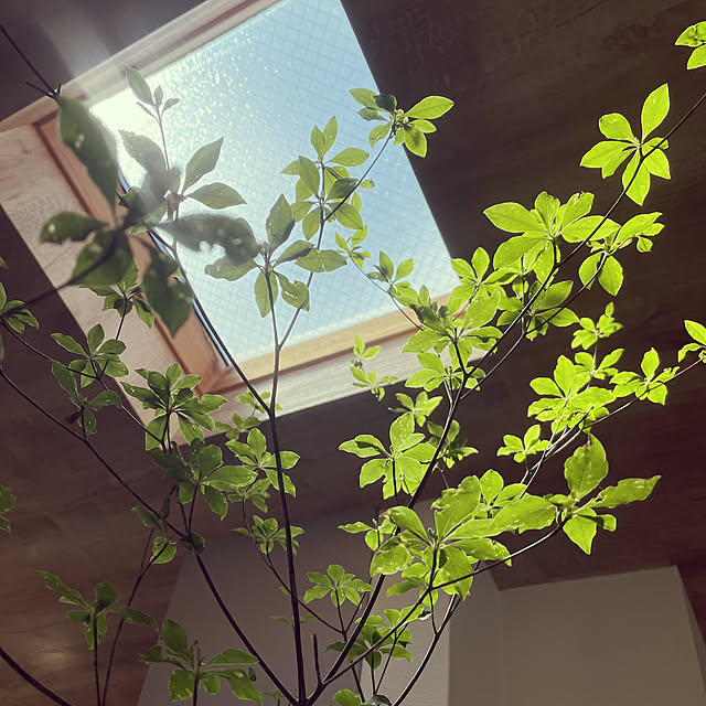 nahonさんの実例写真
