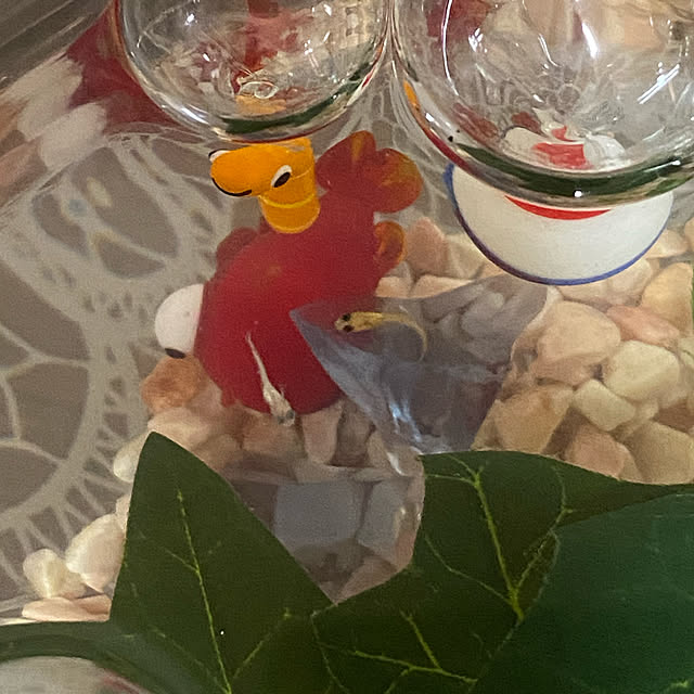 chIoeさんの実例写真