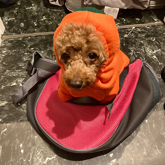 MOMOMAMAさんの実例写真