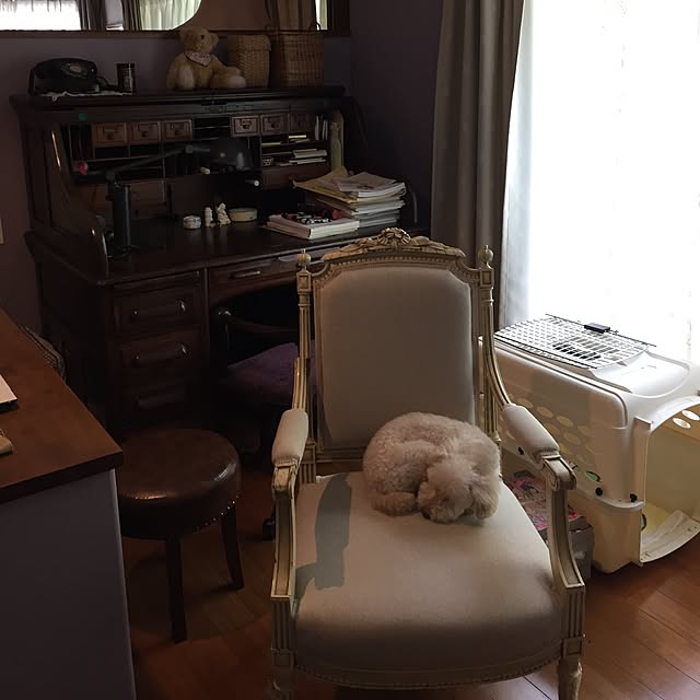 okarinさんの実例写真