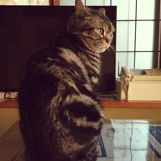 richanさんの実例写真