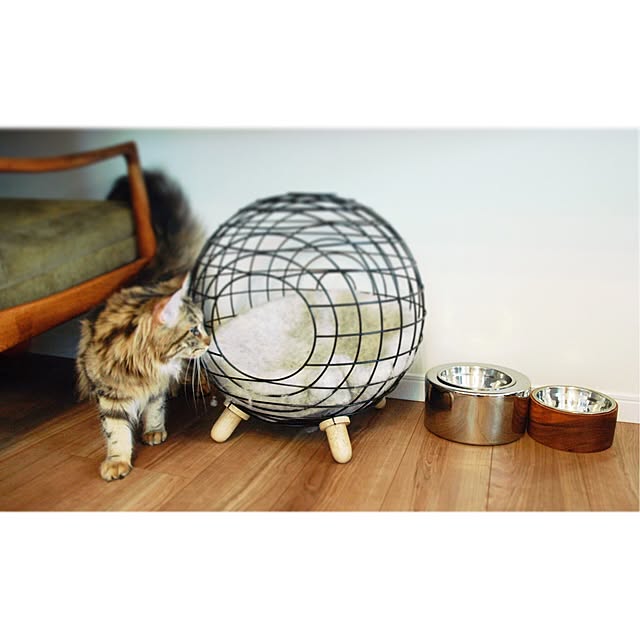 decorameowさんの実例写真