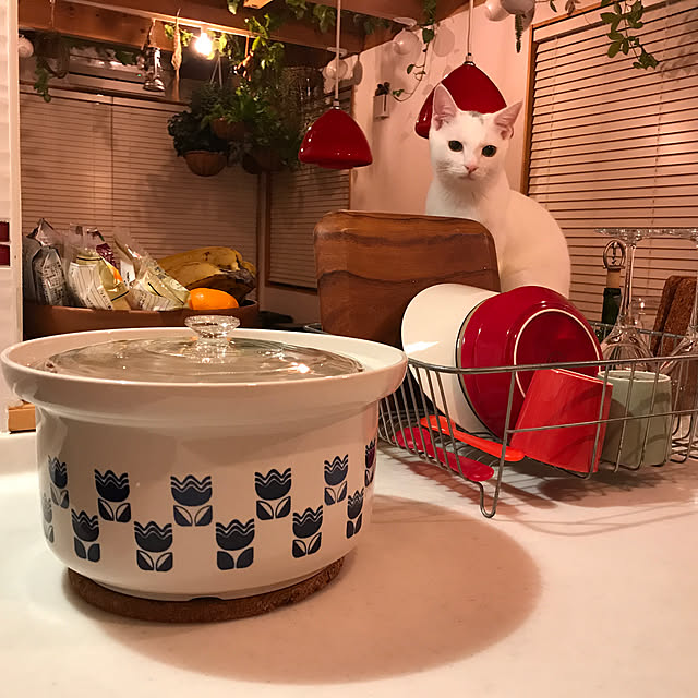 sakurasakuさんの実例写真