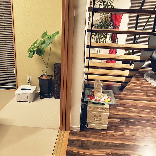 zenoさんの実例写真