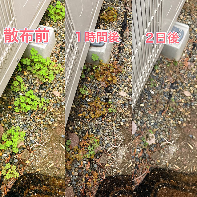sunabaさんの実例写真