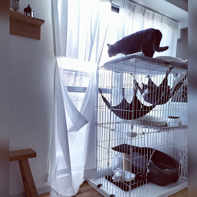 hihaさんの実例写真