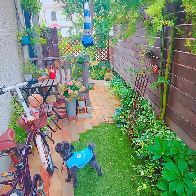 risaさんの実例写真