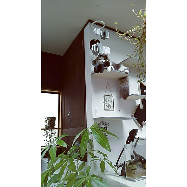 konoharuさんの実例写真