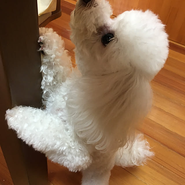 kakoさんの実例写真