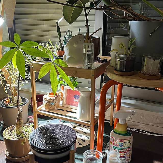 nnfwanicoさんの部屋