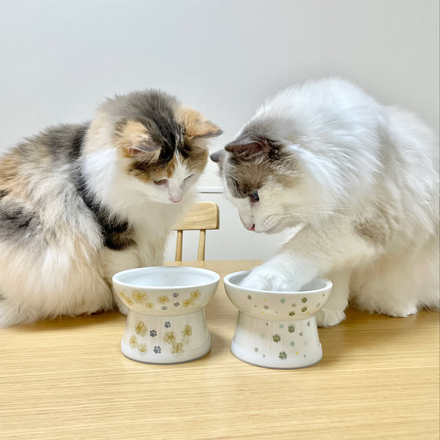 mさんの実例写真