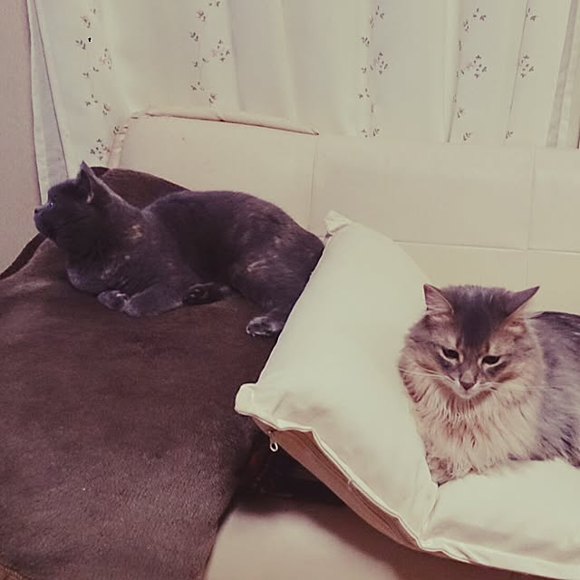 Mariさんの実例写真