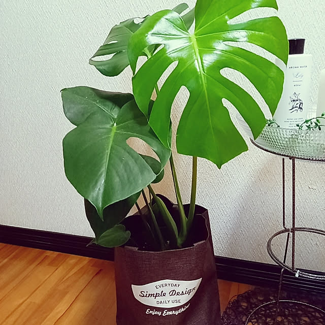 rhuさんの実例写真