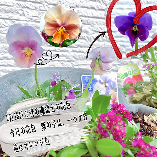 hinamamaさんの実例写真